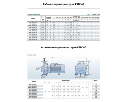 Насосный агрегат моноблочный фланцевый PURITY PSTC 40-125/22