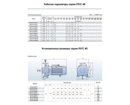 Насосный агрегат моноблочный фланцевый PURITY PSTC 40-160/40