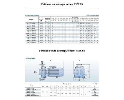 Насосный агрегат моноблочный фланцевый PURITY PSTC 65-200/150